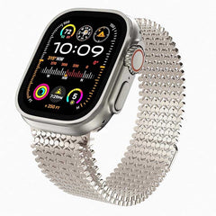 Stainless Steel Magnetic Mesh Watch Band